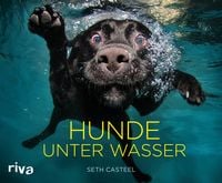 Produktbild: Hunde unter Wasser