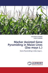 Produktbild: Marker Assisted Gene Pyramiding in Maize Lines (Zea mays L.)