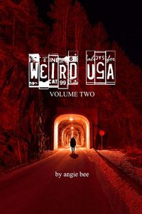 Produktbild: Weird, USA Vol. 2