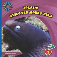 Produktbild: Discover Moray Eels