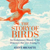 Produktbild: The Story of Birds