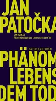Produktbild: Ph&auml;nomenologie des Lebens nach dem Tod