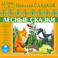 Produktbild: DETYAM ot 3 do 10 let. Nikolaj Sladkov. Lesnye skazki