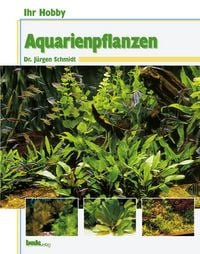 Produktbild: Aquarienpflanzen