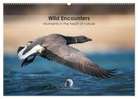 Produktbild: Wild encounters &ndash; Moments in the heart of nature (Wall Calendar 2027 DIN A2 landscape), CALVENDO 12 Month Wall Calendar