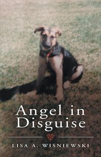 Produktbild: Angel in Disguise