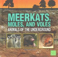 Produktbild: Meerkats Moles & Voles