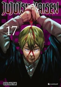 Produktbild: Jujutsu Kaisen - Band 17