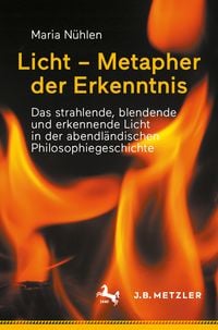 Produktbild: Licht &ndash; Metapher der Erkenntnis