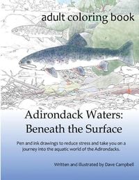 Produktbild: Adirondack Waters: Beneath the Surface