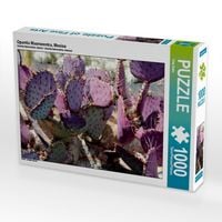 Produktbild: CALVENDO Puzzle Opuntia Macrocentra, Mexico | 1000 Teile Lege-Gr&ouml;&szlig;e 64x48cm Foto-Puzzle f&uuml;r gl&uuml;ckliche Stunden