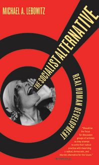 Produktbild: The Socialist Alternative
