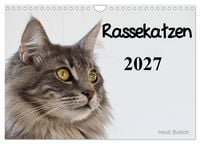 Produktbild: Rassekatzen 2027 (Wandkalender 2027 DIN A4 quer), CALVENDO Monatskalender