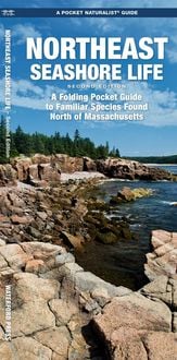 Produktbild: Northeast Seashore Life, 2nd Ed