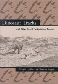 Produktbild: Dinosaur Tracks & Other Fossil