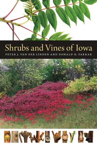 Produktbild: Shrubs and Vines of Iowa