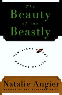 Produktbild: The Beauty Of The Beastly