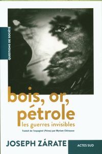 Produktbild: Bois, or, p&eacute;trole : les guerres invisibles