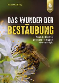 Produktbild: Das Wunder der Best&auml;ubung