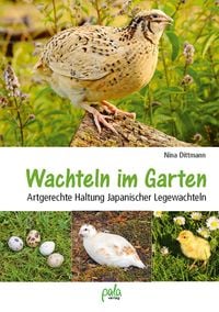Produktbild: Wachteln im Garten