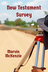 Produktbild: New Testament Survey