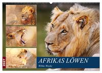 Produktbild: Afrikas L&ouml;wen 2027 (Wandkalender 2027 DIN A2 quer), CALVENDO Monatskalender