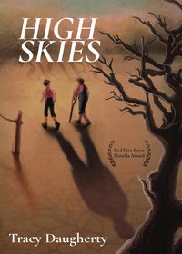 Produktbild: High Skies