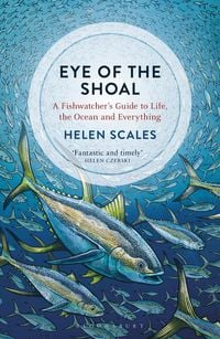 Produktbild: Eye of the Shoal