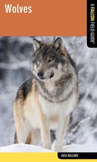Produktbild: Wolves