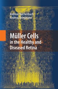 Produktbild: M&uuml;ller Cells in the Healthy and Diseased Retina
