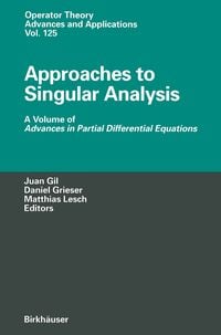 Produktbild: Approaches to Singular Analysis