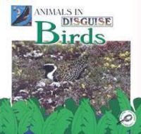 Produktbild: BIRDS