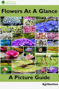 Produktbild: Flowers at a Glance
