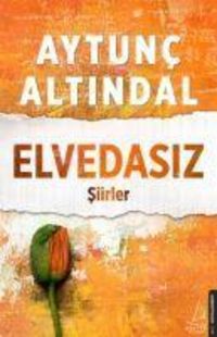 Produktbild: Elvedasiz Siirler
