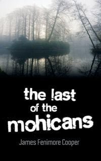 Produktbild: The Last of the Mohicans
