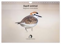 Produktbild: Esprit animal - Regards minimalistes (Calendrier mural 2026 DIN A4 vertical), CALVENDO calendrier mensuel