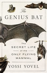 Produktbild: Genius Bat