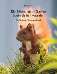 Produktbild: Eichh&ouml;rnchen im Garten / Squirrels in my garden
