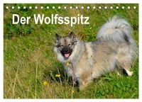 Produktbild: Der Wolfsspitz (Tischkalender 2026 DIN A5 quer), CALVENDO Monatskalender