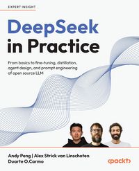 Produktbild: DeepSeek in Practice