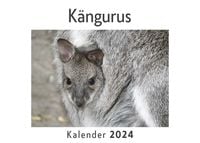 Produktbild: K&auml;ngurus (Wandkalender 2024, Kalender DIN A4 quer, Monatskalender im Querformat mit Kalendarium, Das perfekte Geschenk)