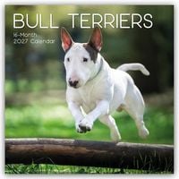 Produktbild: Bull Terrier 2027 &ndash; 16-Monatskalender