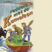 Produktbild: Redders met de Kameleon