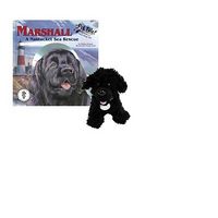 Produktbild: Marshall: A Nantucket Sea Rescue [With Dog]
