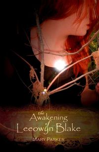 Produktbild: The Awakening of Leeowyn Blake