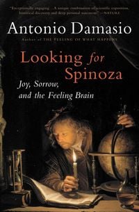 Produktbild: Looking for Spinoza