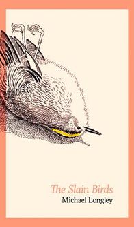 Produktbild: The Slain Birds