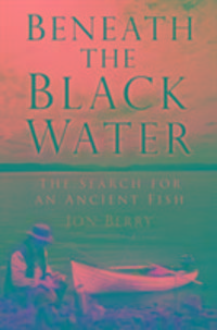 Produktbild: Berry, J: Beneath the Black Water
