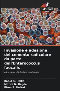 Produktbild: Invasione e adesione del cemento radicolare da parte dell'Enterococcus faecalis
