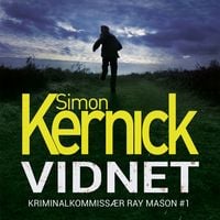 Produktbild: Vidnet